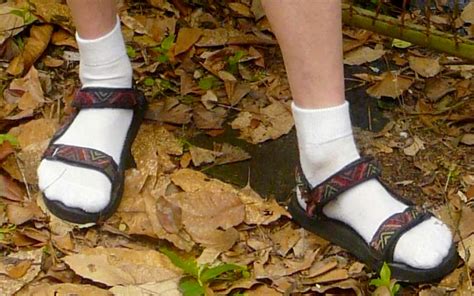 dad sandals with socks